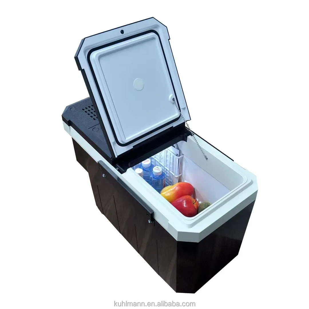 Small Fridge Mini Refrigerators Cooler Portable Fridge Great for Skincare, Foods, Medications, Breast Milk, Home For Car