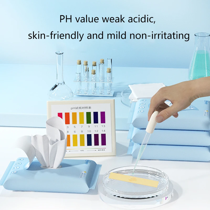 Wholesale Customized Wet Toilet Paper 10 Pieces Flushable Low MOQ Organic Wet Wipes