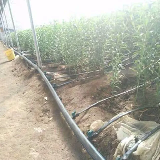 Eco Friendly Other Watering & Irrigation 16mm Plastic Drip Irrigation Pipe Agricultural Drip Pipe