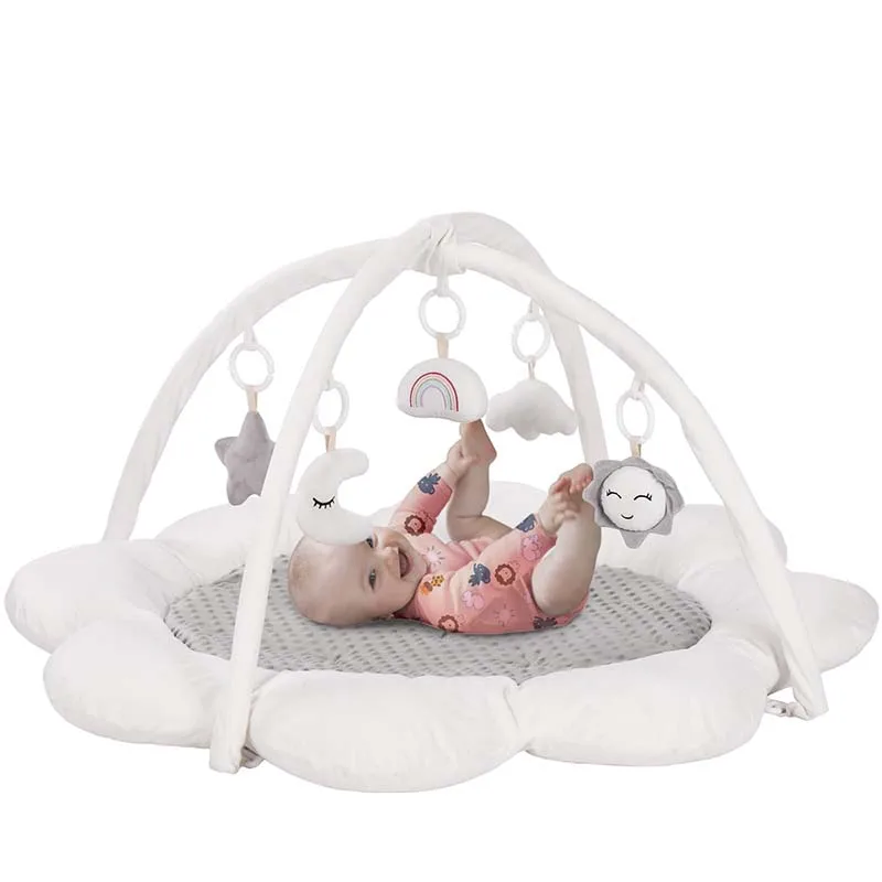 Baby Play Activity Gym Tummy Time Mat for Infant,Baby Gyms & Playmats for Babies 0 to 3 6 9 12 Months with 6 Toys