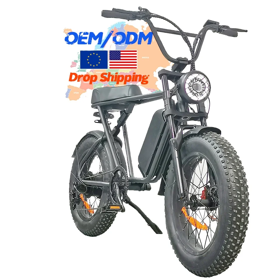 Customization High Speed 48V 1000W Motor C9 Electric Bicycle 20 Inch Fat Tire Off Road Mountain Moped Bike