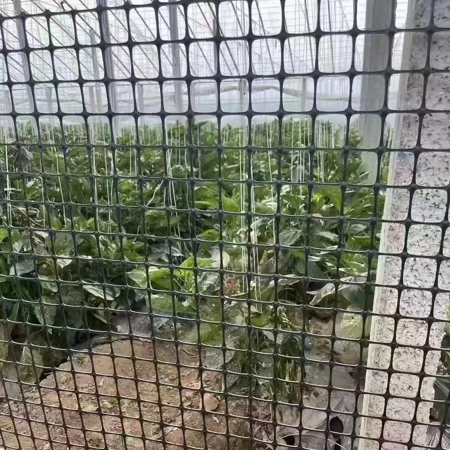 pp PE biaxial  geogrid for base stabilizer of highways municipal roads railways airstrips