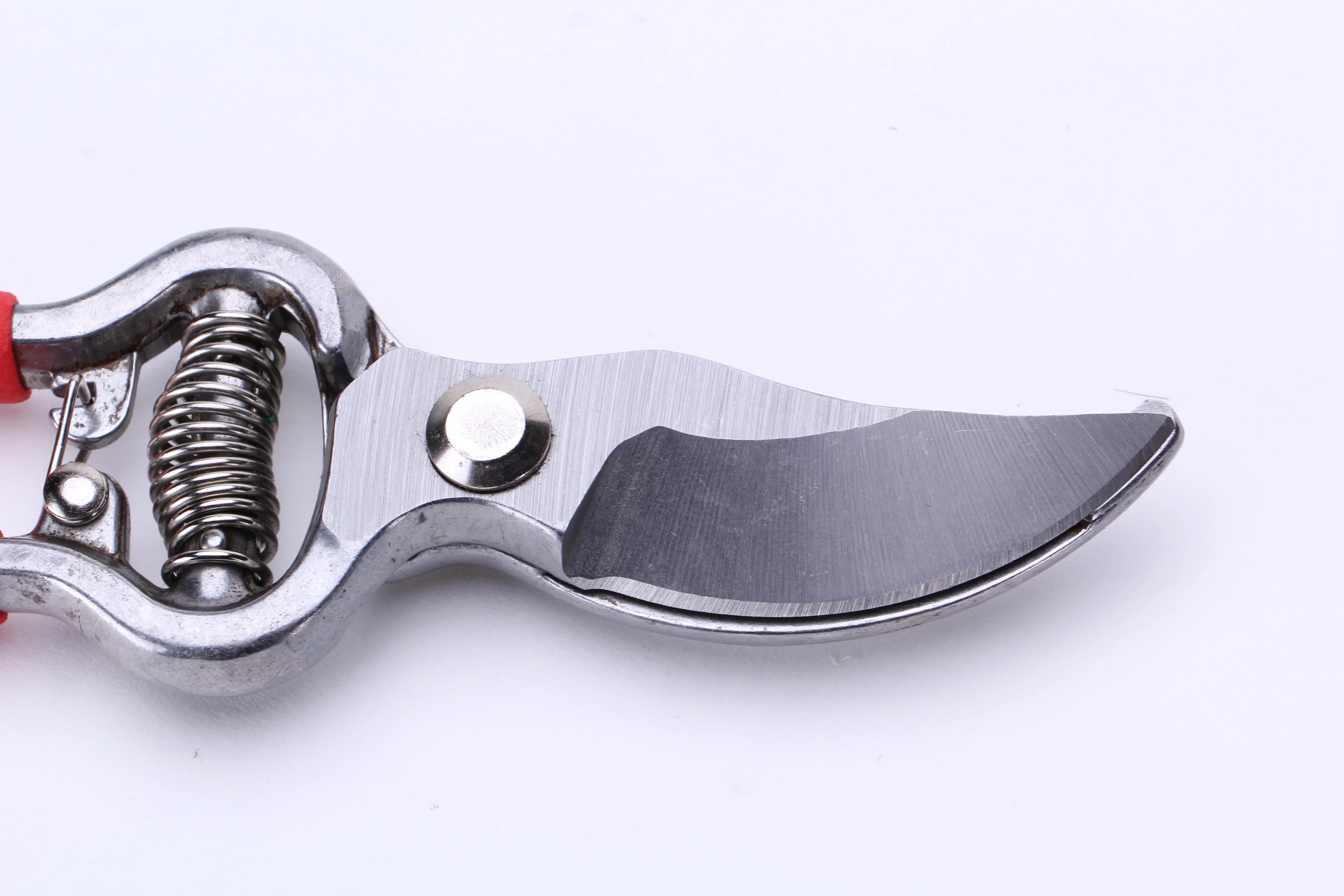 Wholesale High Quality 8 Inch Garden Tool Anvil Pruning Garden Scissors with Plastic Handle OEM Customization Supported