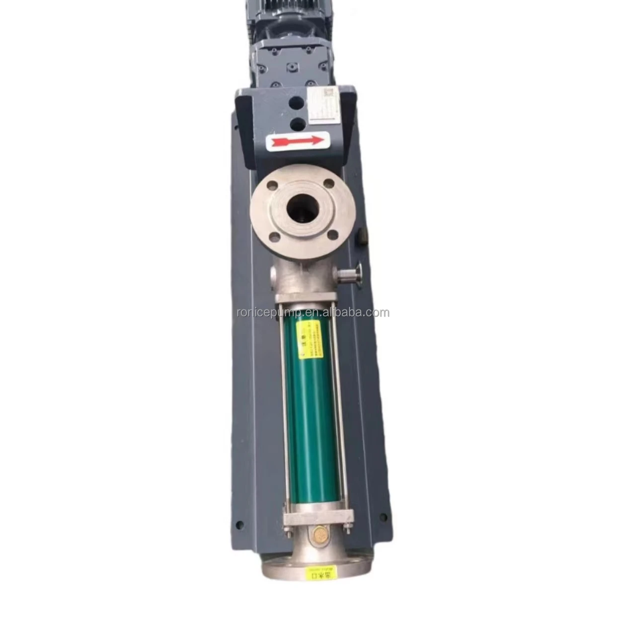 RoNice  High standard Netzsch Series Progressing Cavity Pump for sewage/Chemical industry