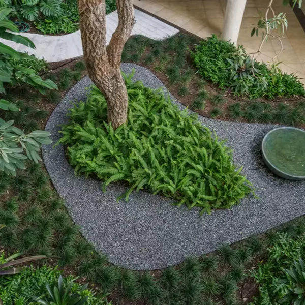 Aluminum Landscape Edging for Gardens Ornaments with Durable Construction