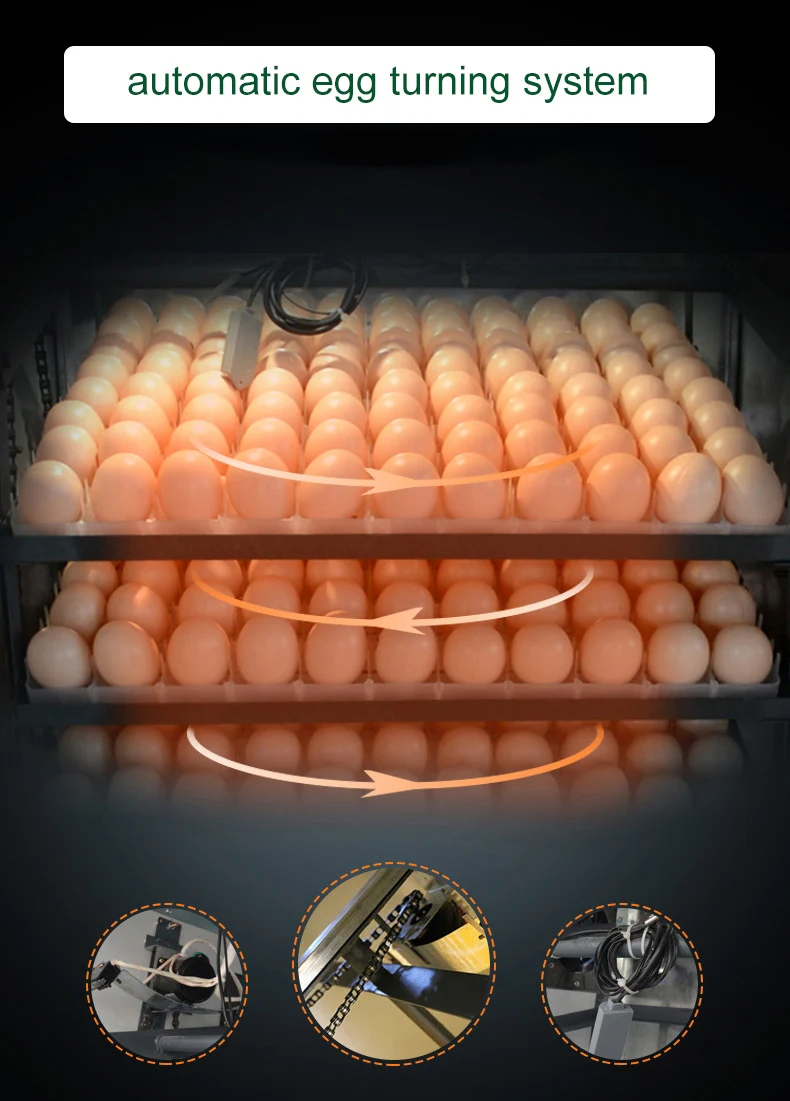 1056 Chicken Eggs Incubators Bird Hatching Eggs Quail Fully Automatic Incubator
