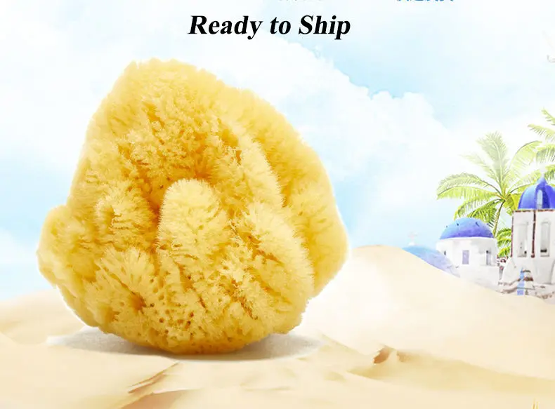 natural bath brushes sea wool sponge 6-7cm for bathing