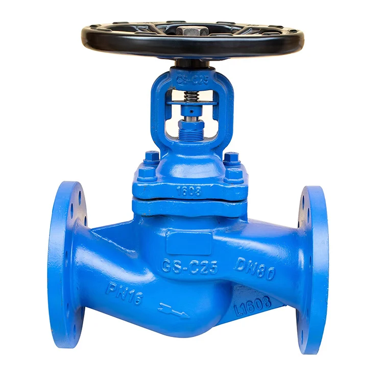 WCB or Stainless steel Bellows globe valves for steam