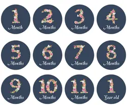 Wholesale Wish New born baby monthly stickers floral milestone stickers