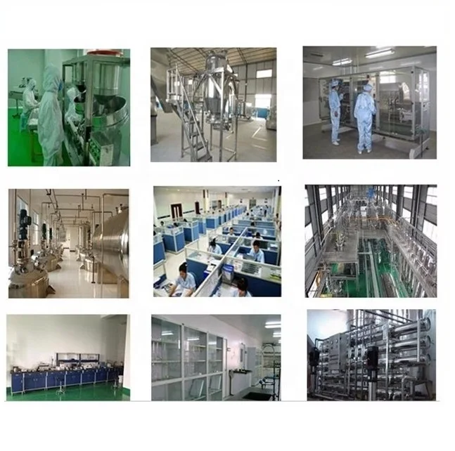 Professional  Factory supply pure catalase powder enzyme price