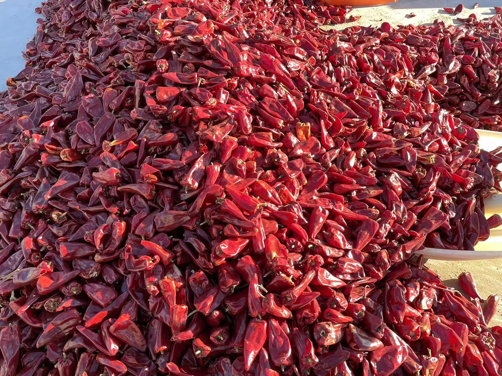 Top Wholesale Quality Chilli Powder Best Natural Red Chili  Dried Single Spices&Herbs