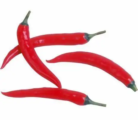 Factory price fresh frozen chili pepper Cut Diced Hot Red Chili Pepper from China fresh chili