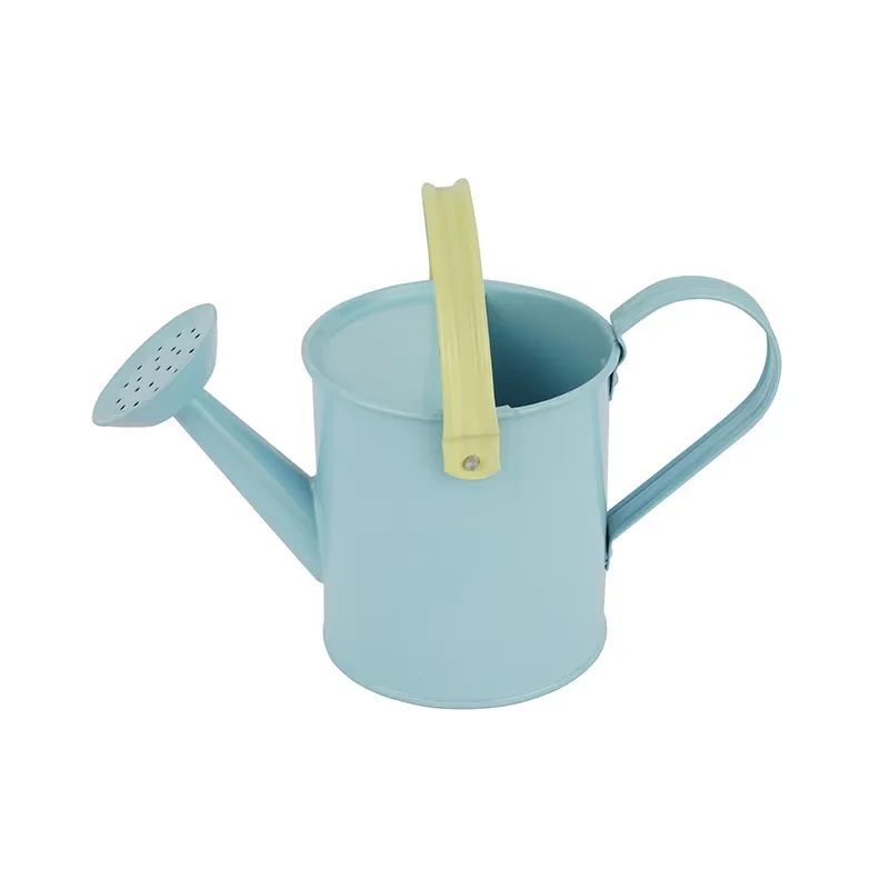 0.6L Customizable Pattern Logo Patchwork Color Bicolor Indoor Gardening Iron Watering Can with 2 Handle