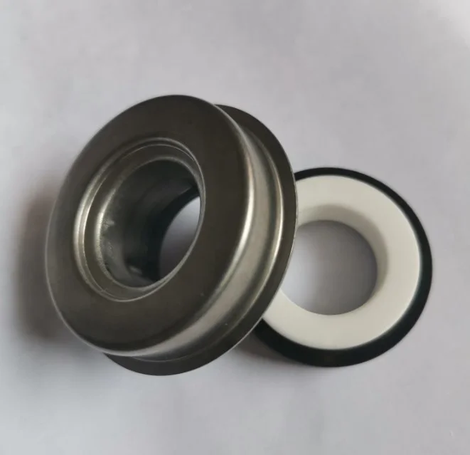 PS 1000 water pump mechanical seal
