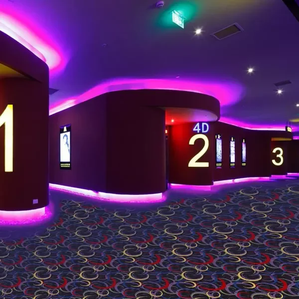 Axminster Carpet 5 Star Hotel Nylon Printed Cinema Carpet Lobby Wall to Wall Banquet Hall Carpet