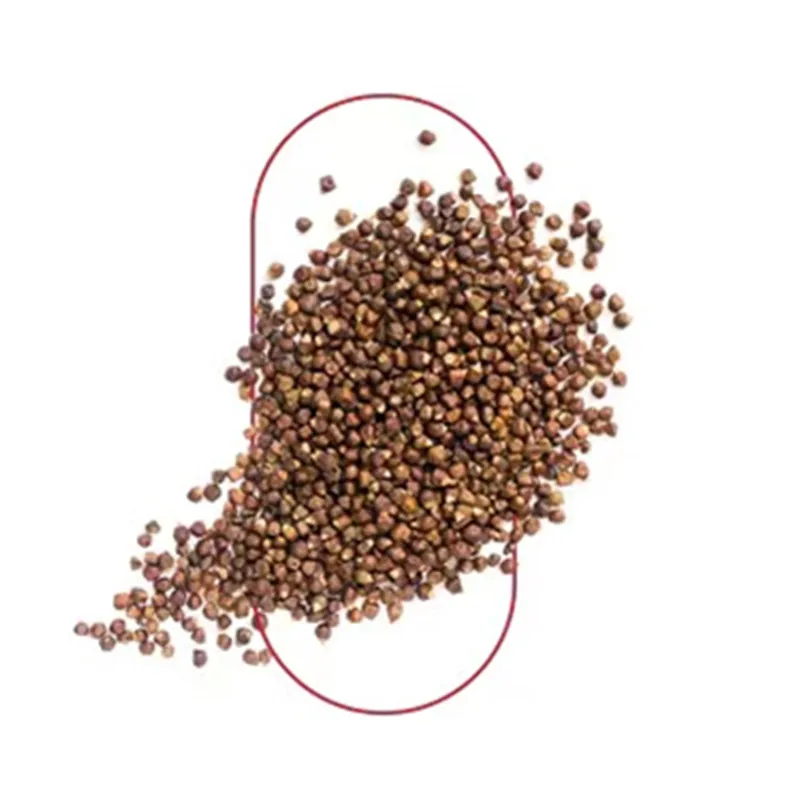 OEM day time fat burner slimming pills supplement 60 capsules