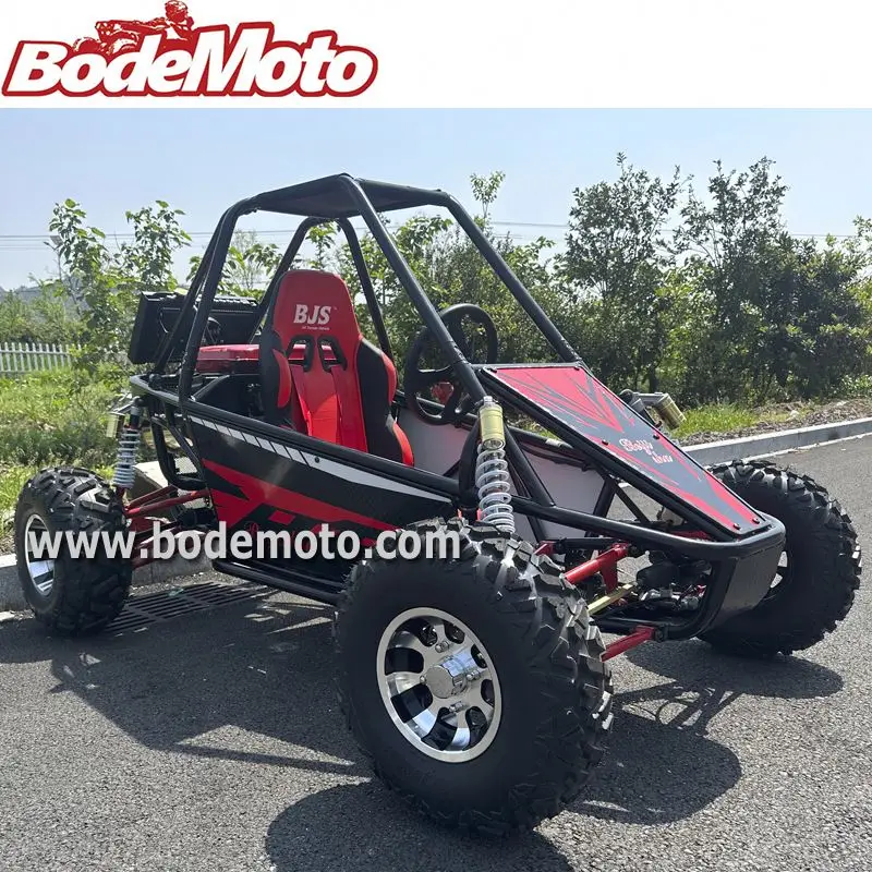 300cc adult professional racing go kart 200CC for Kids