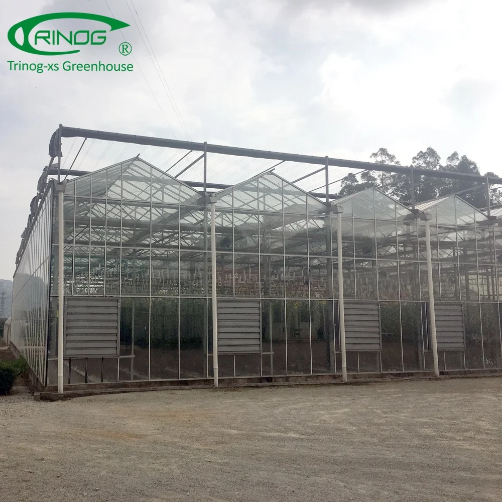 Glass tomato hydroponic greenhouses farming equipment
