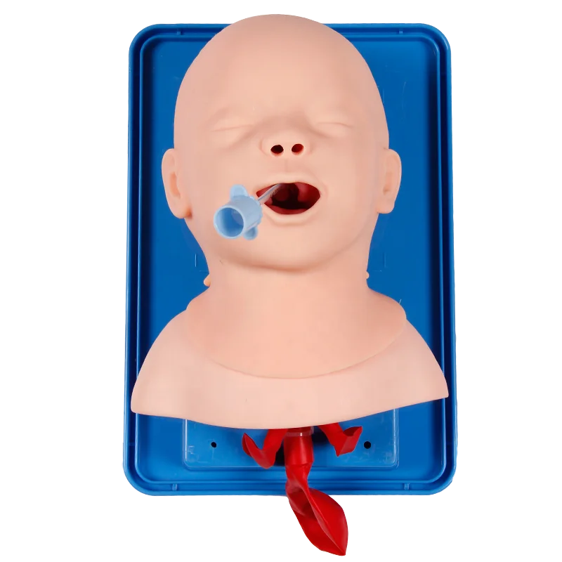 DARHMMY Advanced Infant Tracheal Intubation Model Medical Science Emergency Training Manikin
