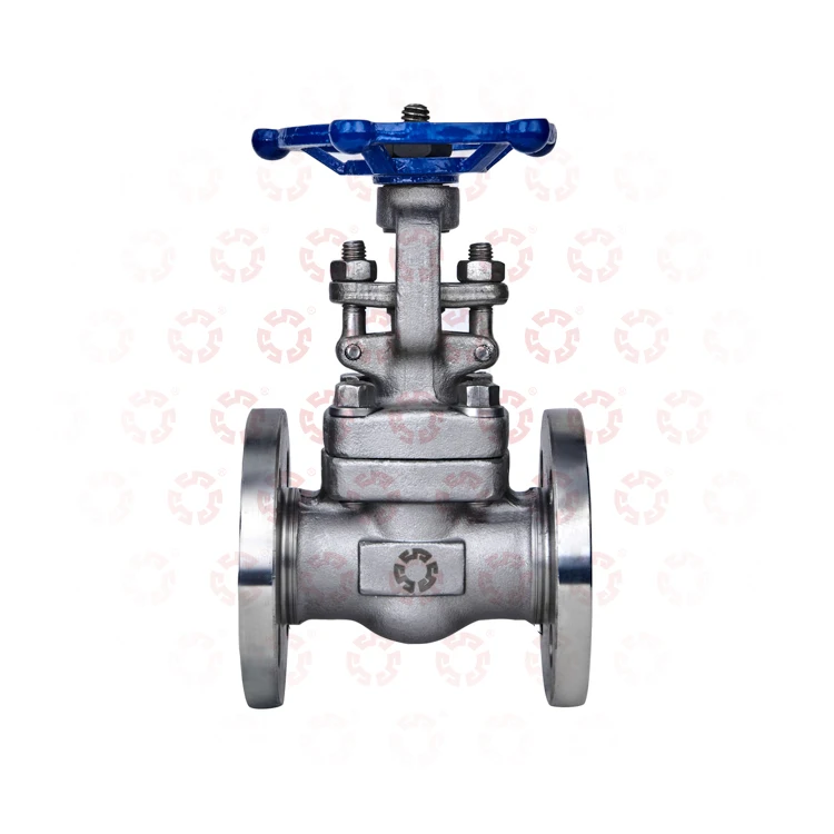SS316 304L Class DN10 To DN100  High Pressure And High Temperature Hand Flange Water Oil Gas Control Stainless Steel Gate Valve