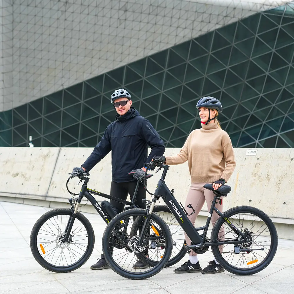 city ebike 250W 750W 36V 48V new wholesale classic e-bike model e bike electric bike 26 inch green city