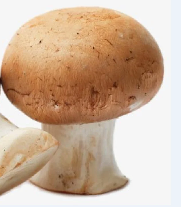 425g canned mushroom pieces and stems