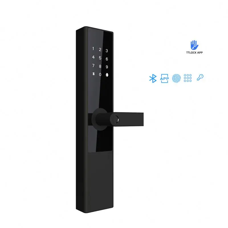 Ttlock APP Biometric Fingerprint Door Lock Zinc Alloy Keyless Smart Door Lock
