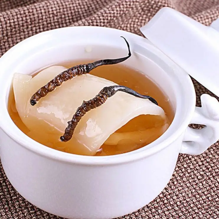 Large Wholesale Freeze-Dried Cordyceps Sinensis Plant Extract Broken Grass Cordyceps Sinensis Plastic Container Drum Packaging