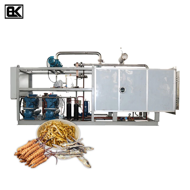 Manufactory Wholesale high working efficiency lyophilized in situ sublimation condensation home use freeze dryer