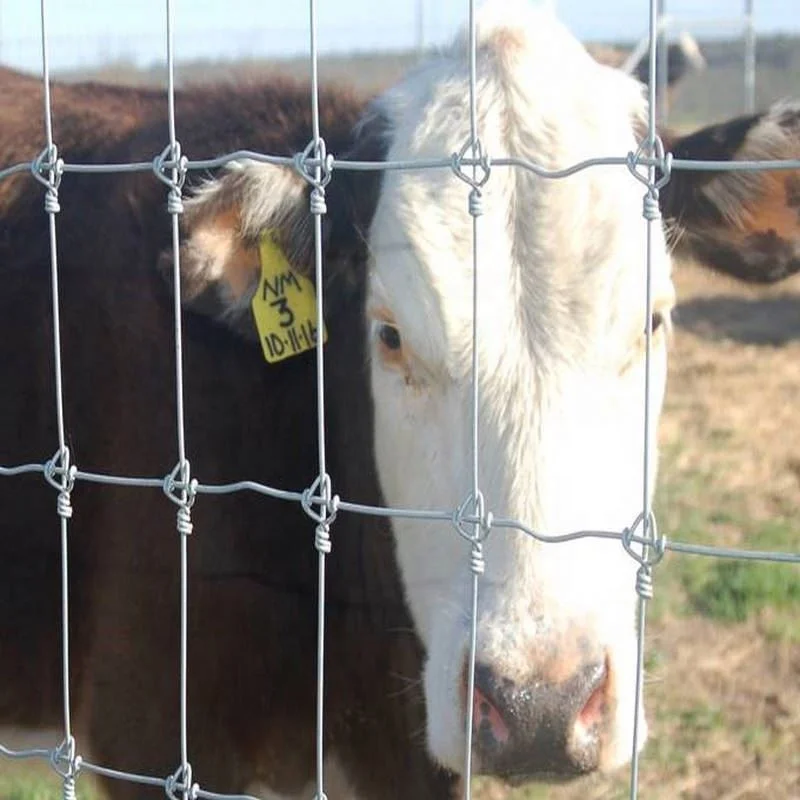 Factory Wholesale galvanized grassland fence 2.2mm 2.5mm 2.7mm wire cattle/sheep/farm/field/deer wire mesh fencing netting
