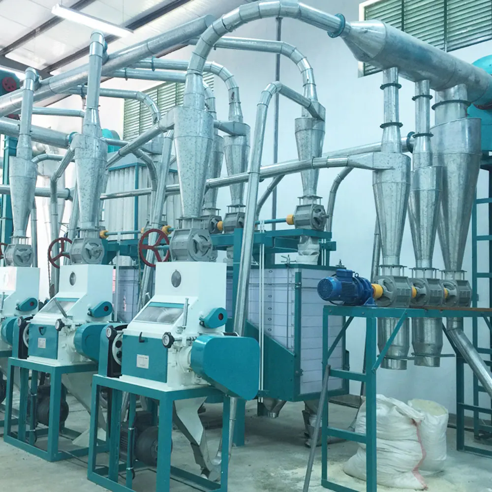 50 ton per day corn flour milling plant maize mill machinery