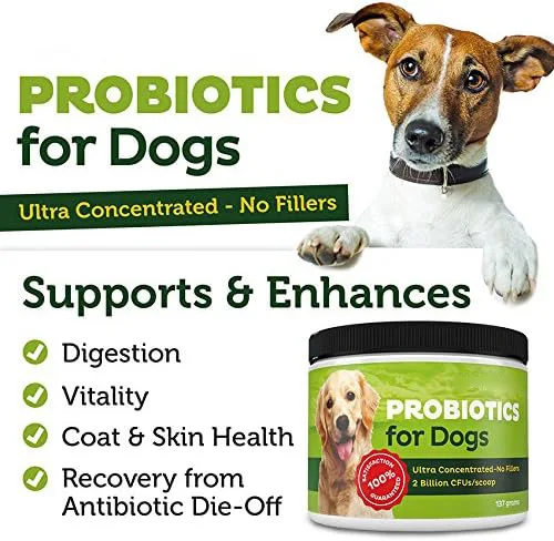 OEM/ODM Private Label Natural Pet Probiotic Nutritional Supplement Powder Prebiotics And Probiotics For Dogs