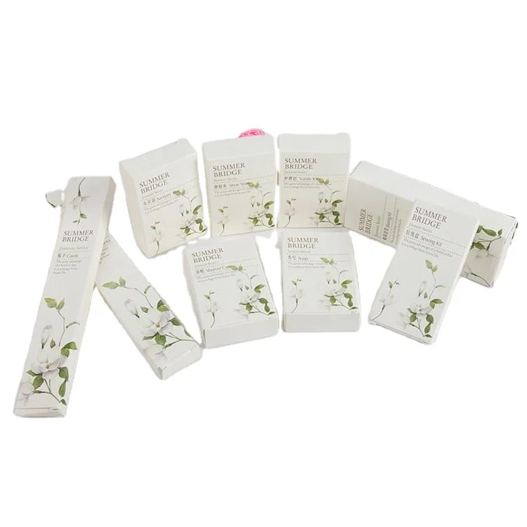 Hot new product for 2022 hotel toiletries disposable hotel amenities