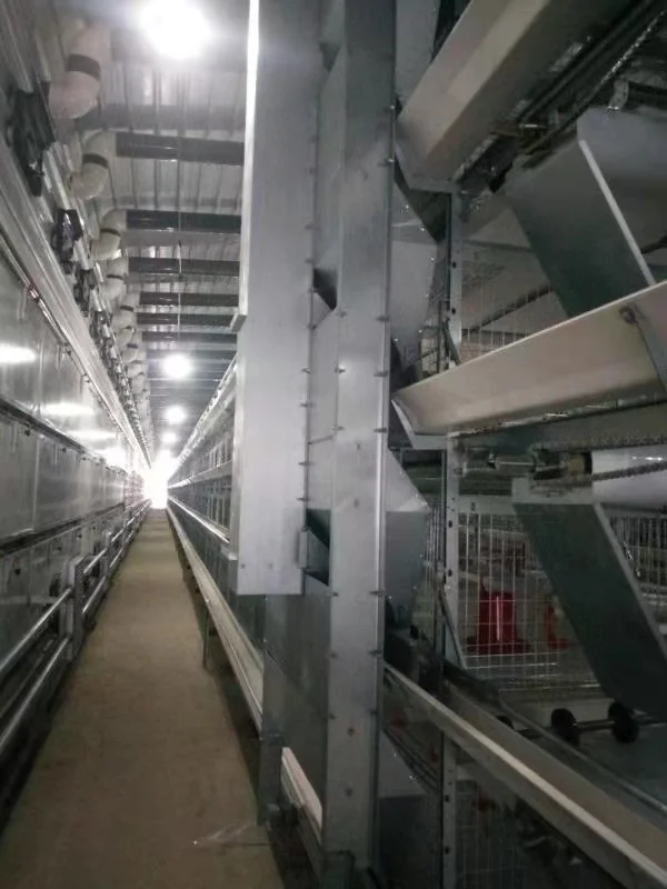 Cheap Price Chicken House Layer Used Farm Poultry Breeding Special Cages