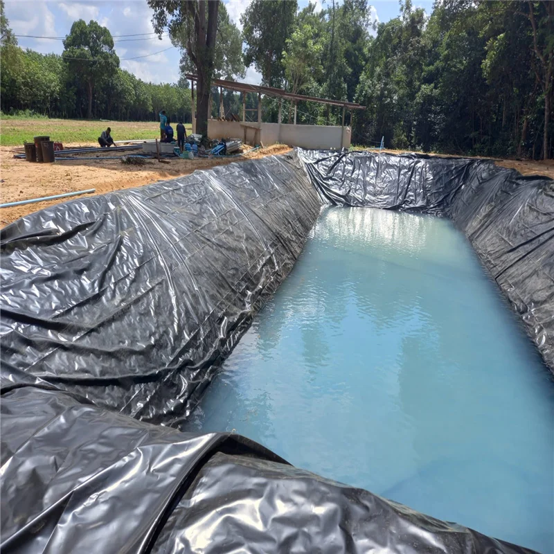 Free sample dam liner geomembrane hdpe geomembrane hdpe film