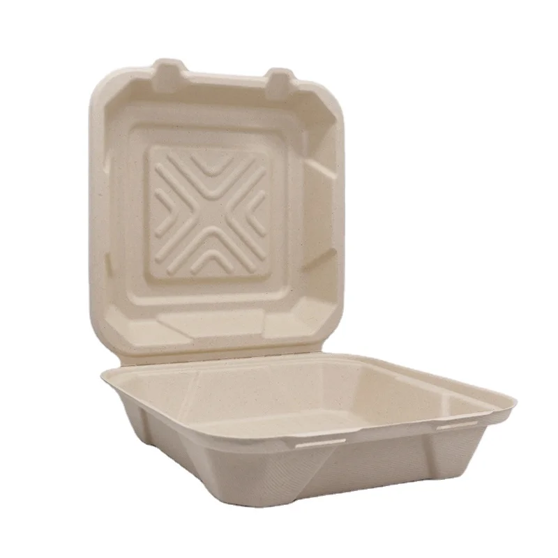 Eco-Friendly 100% biodegradable 900ml sugarcane pulp clamshell lunch box disposable 8 Inch square bagasse food container