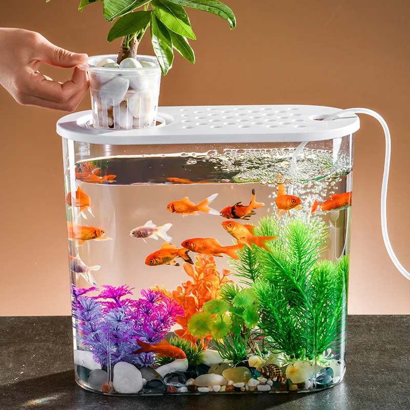 Premium Sunsun Aquarium for Turtles, ADA & Sobo Aquariums with Natural Stones for Beautiful Aquariums