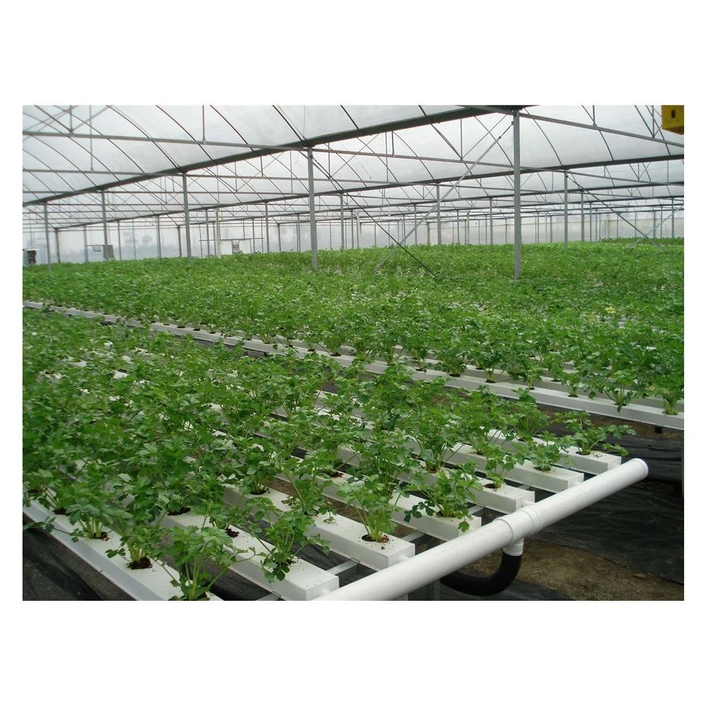 The most popular agricultural products is pinard plant slot