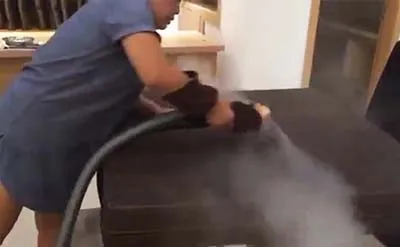 Steam Mattress Sofa Vacuum Integrated Cleaning Machine to Kill Bed Bugs