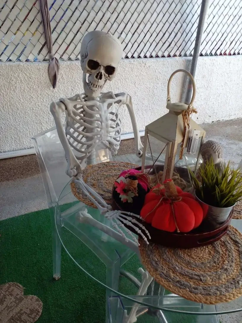 Customized Wholesale Cheap Scary Halloween Decoration Props Haunted House Life Size Animated Halloween Articulated Skeletons
