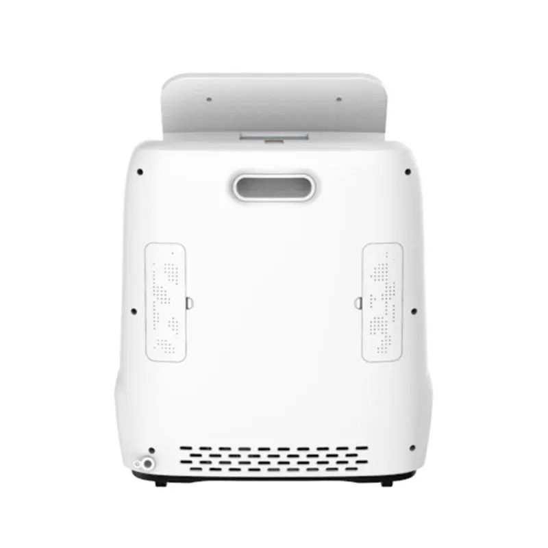 2021 New High Flow Medical Oxygen-concentrator 10L Machine Oxygen Concentrator