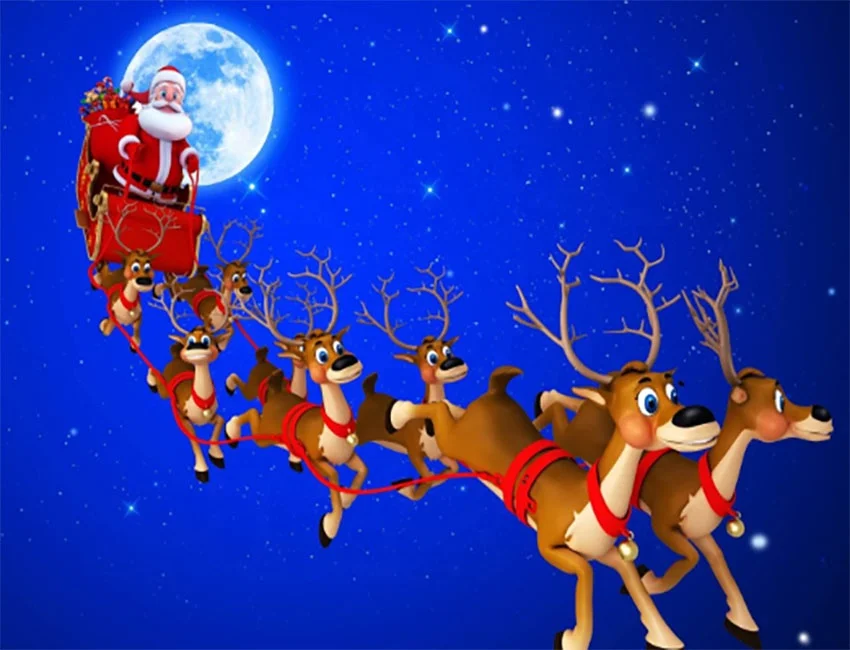 
Christmas decorations and gifts for the elderly with PP corrugated board inserted in the yard 