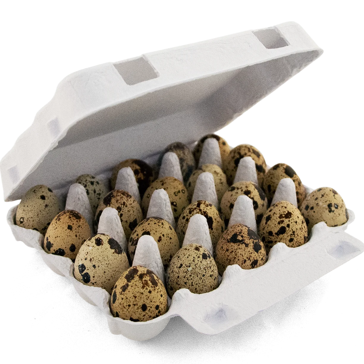 
 Коробки для перепелиных яиц, разлагаемые коробки, перерабатываемые и многоразовые подносы для яиц  