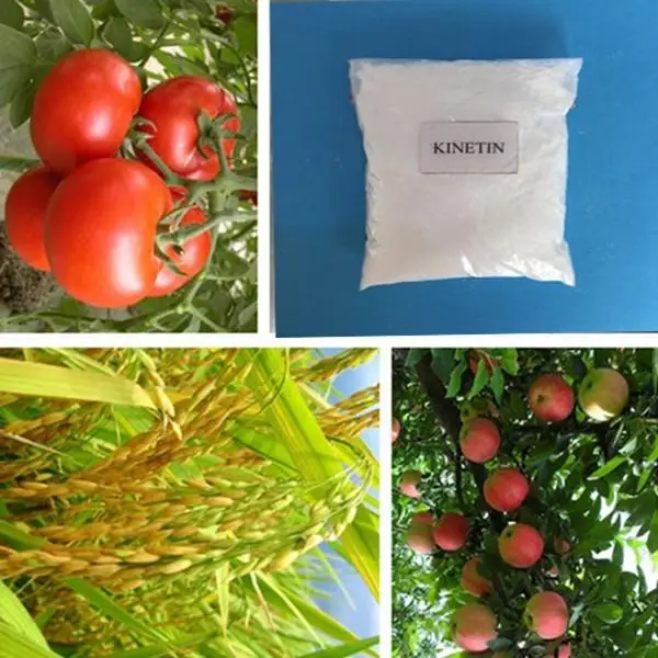 Регулятор роста растений 6-фурфуриламинопурин кинетин 6-кт 99% TC