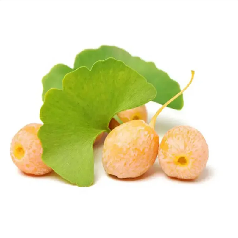 Cheap Price ginkgo Nuts Good Price For Sale