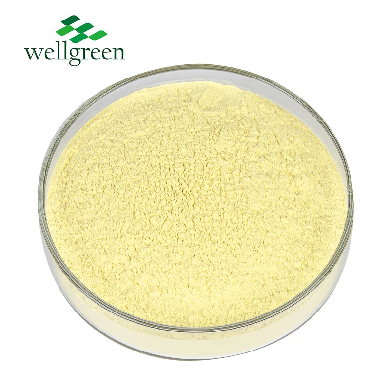 Wellgreen Healthcare Raw Material Citrus Aurantium Orange Peel Extract 90% Micronized Diosmin Powder