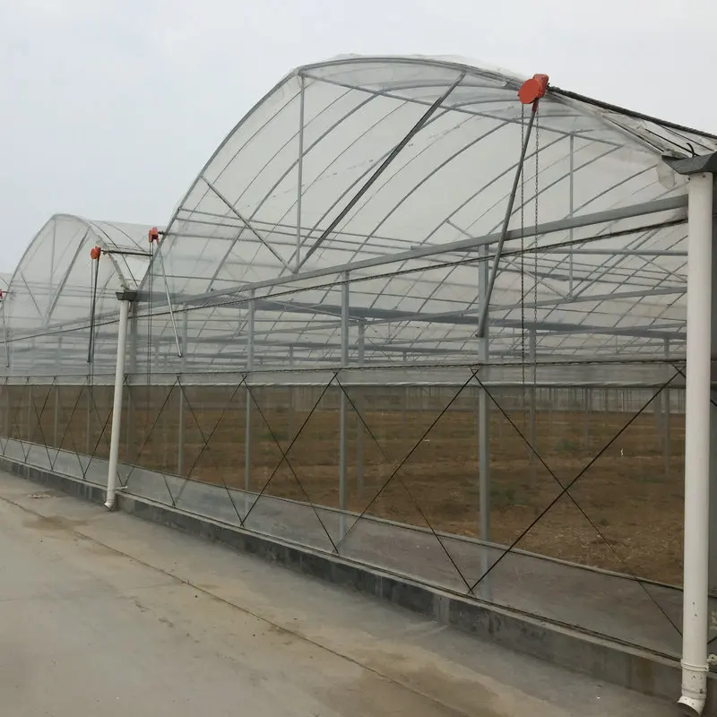 commercial used plastic sheet wide span green house for roses orchid flower growing