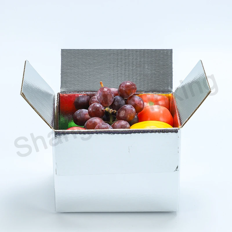 Insulated Cooler Boxes for Food Storage and Shipping