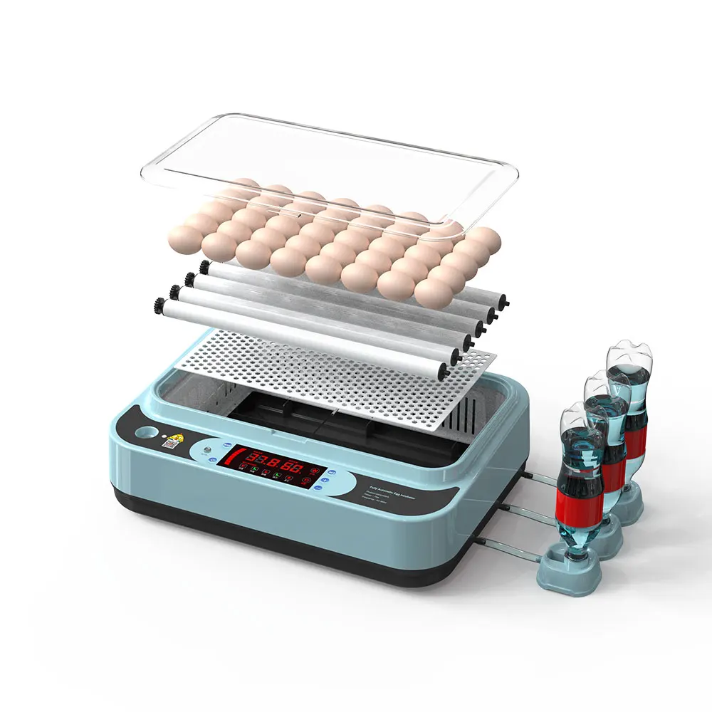 Good Quality Full Automatic Mini 12 Eggs Incubator for Chicken , Quail , Duck Eggs