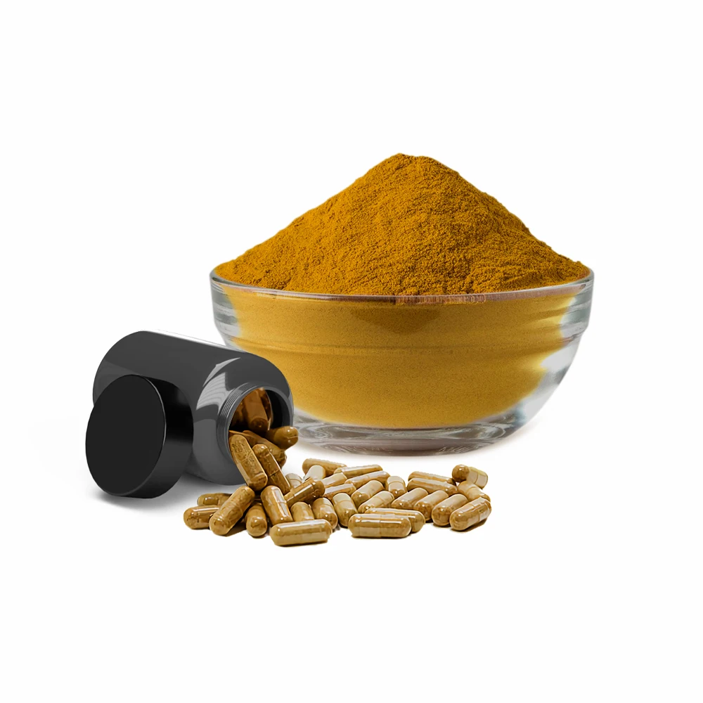 Wholesale Mushroom Supplement 12 in 1 Mushroom Blend Extract Powder with Lions Mane Reishi Corydceps Chaga or more 90 Capsules